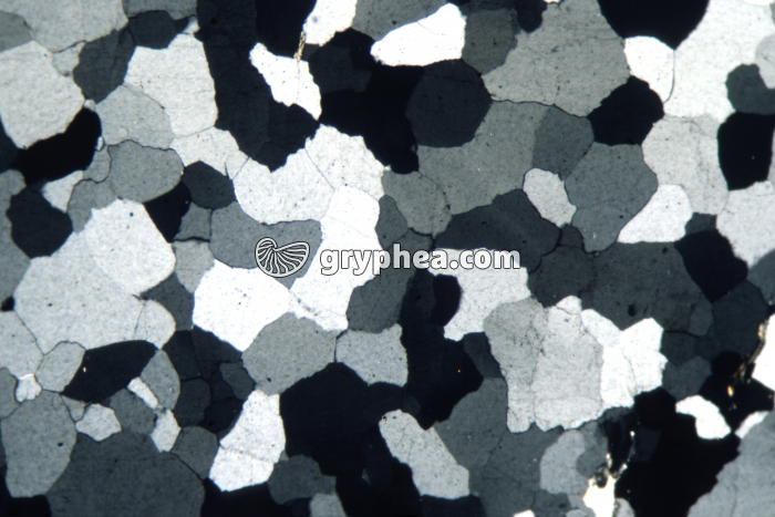 Quartzite LPA x10 - gryphea.org